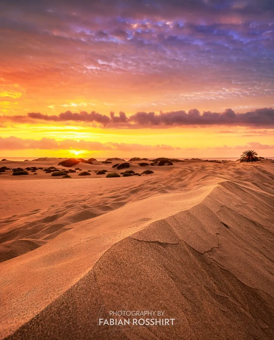 Wandbild Gran Canaria Dunes Of Gold
