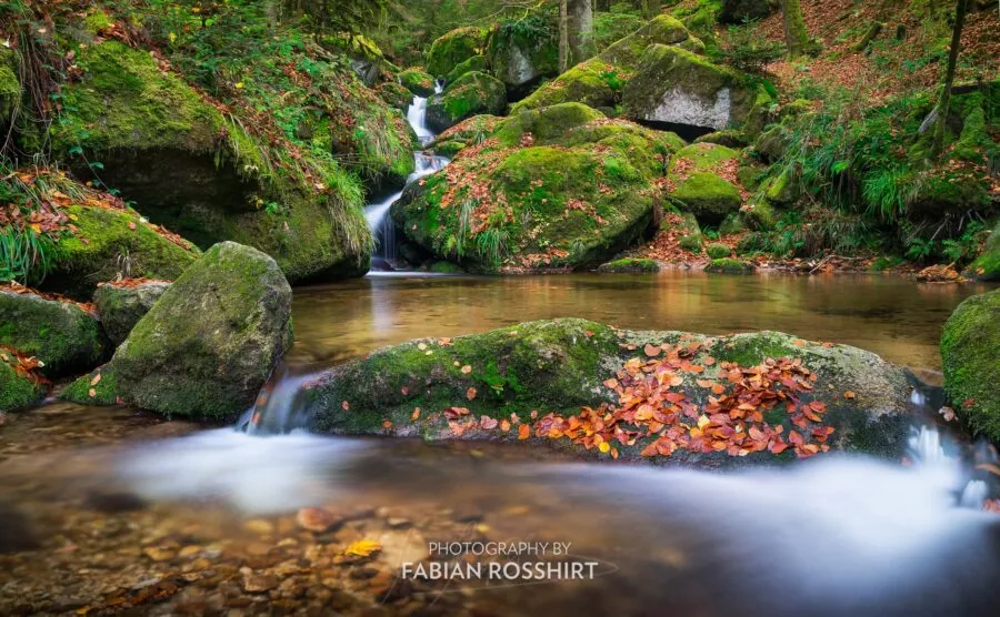 Wandbild Schwarzwald Autumn Tranquility
