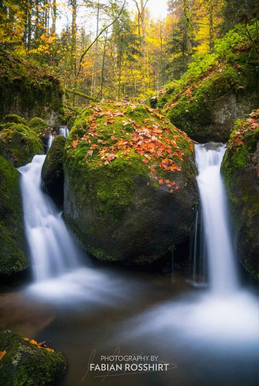 Wandbild Schwarzwald Twin Falls
